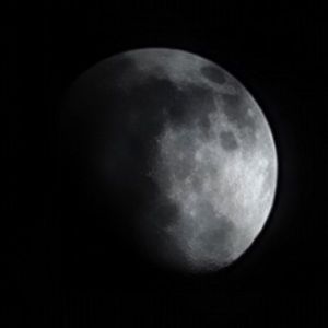 Meet your Posher, Garrett